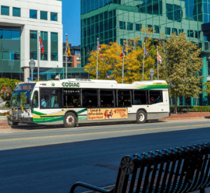 Codiac Bus at City Hall
