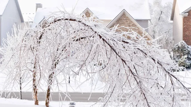 City of Moncton Emergency Measures Organization, Public Safety