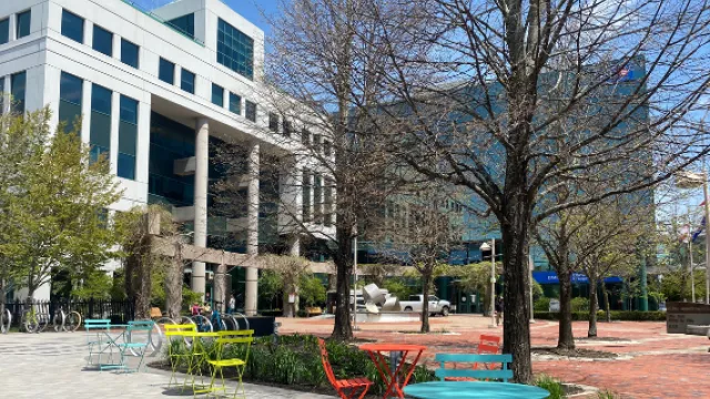 city hall photo from outside the adjacent park