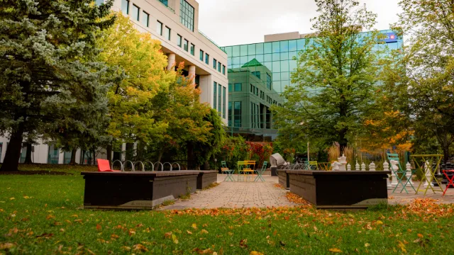 Parc Gerald LeBlanc in autumn