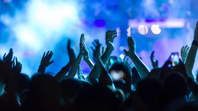 A crowd of people applauding at a concert