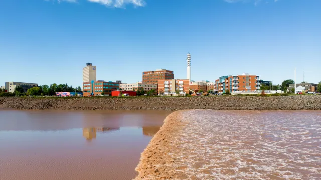 A view of the tidal bore moving across the Petitcodiac River with the Moncton skyline in the background