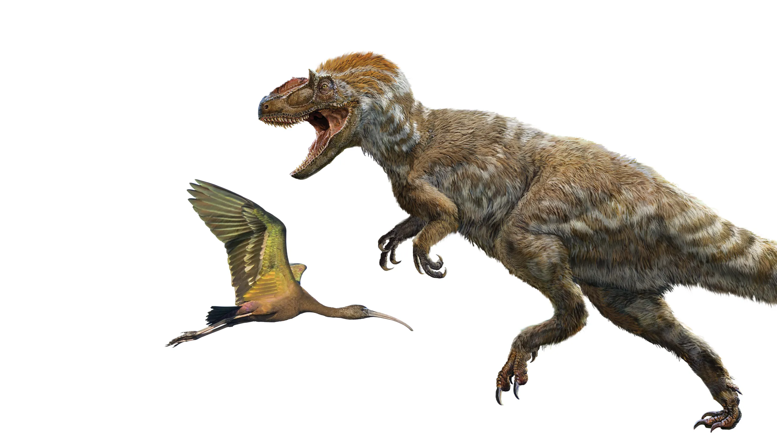 Prehistoric bird and dinosaur