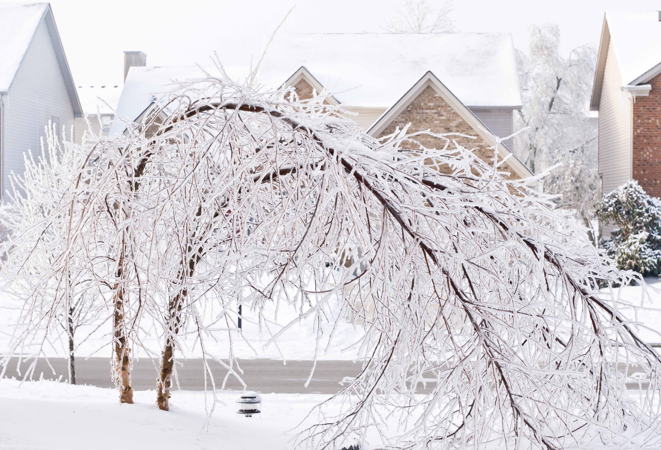 City of Moncton Emergency Measures Organization, Public Safety