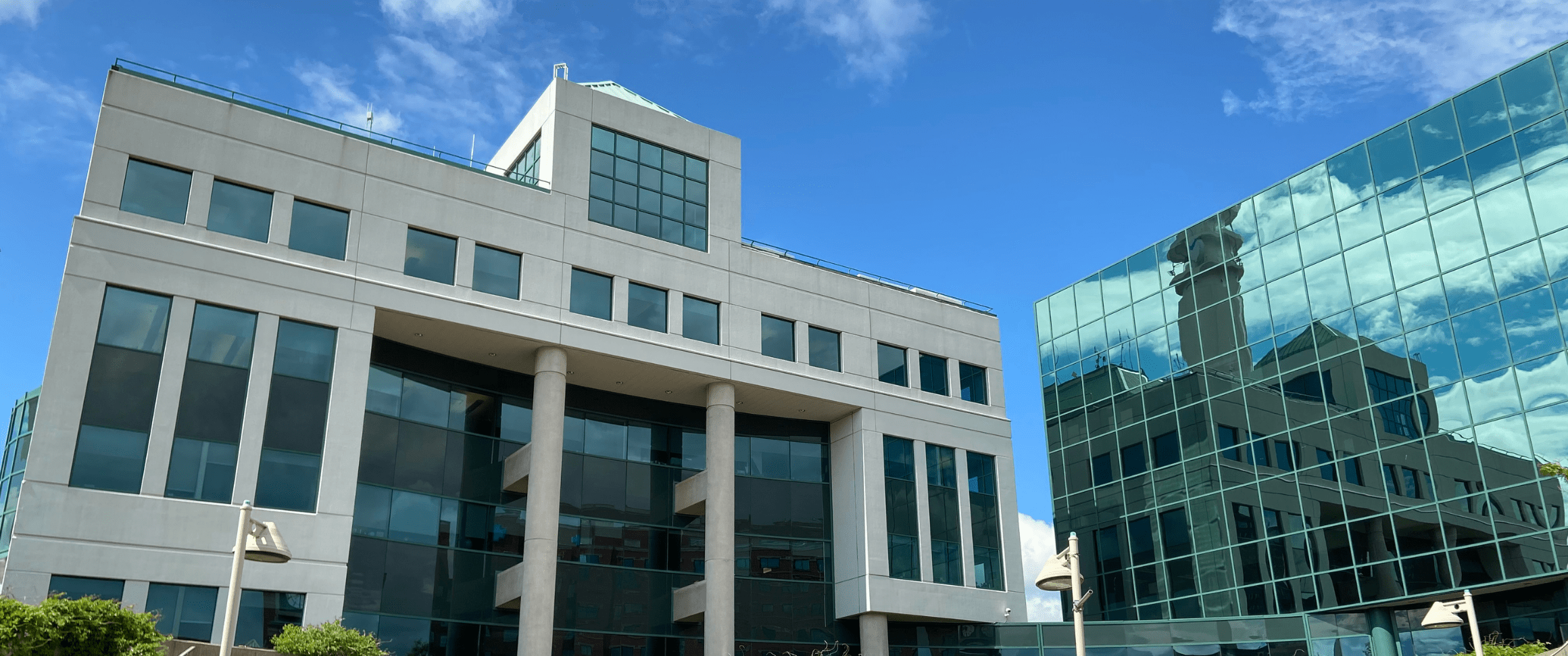 City Hall Photo from Outside Plaza