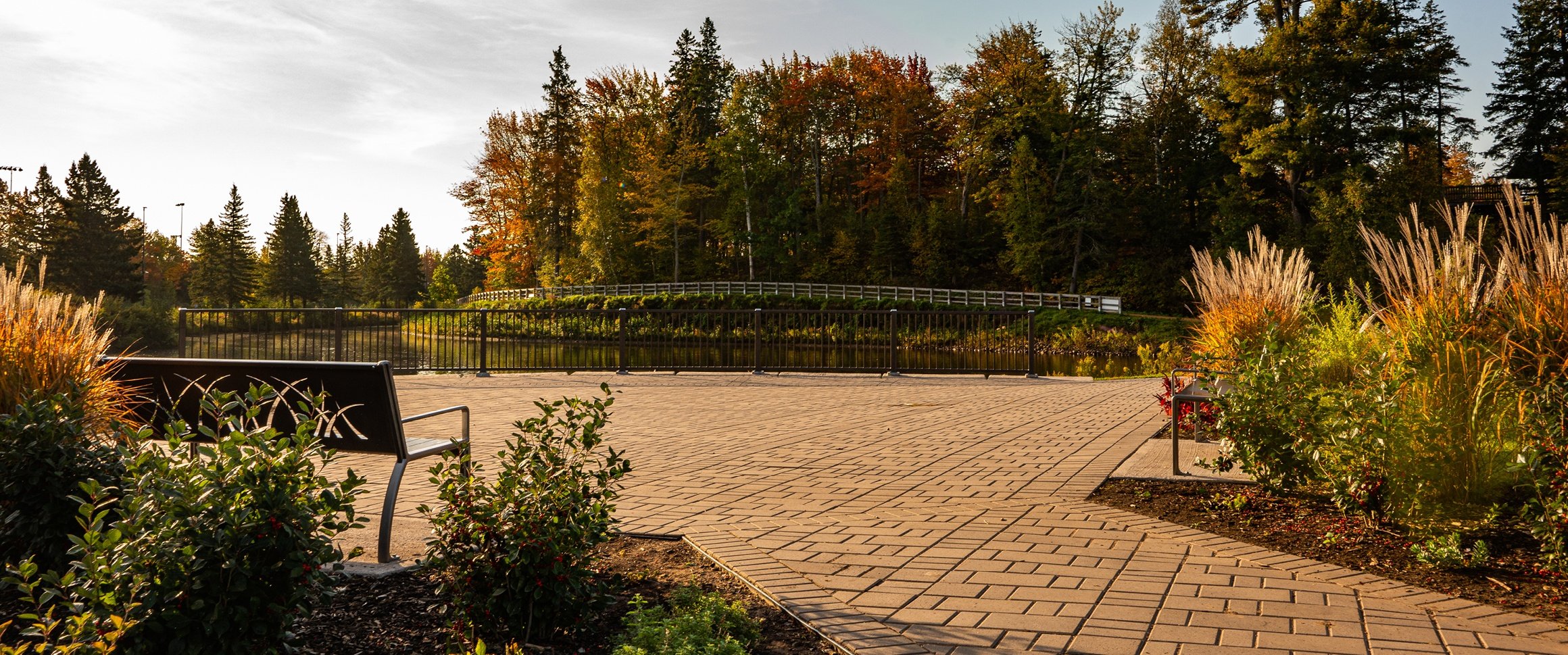 Centennial Park pond and walking trail