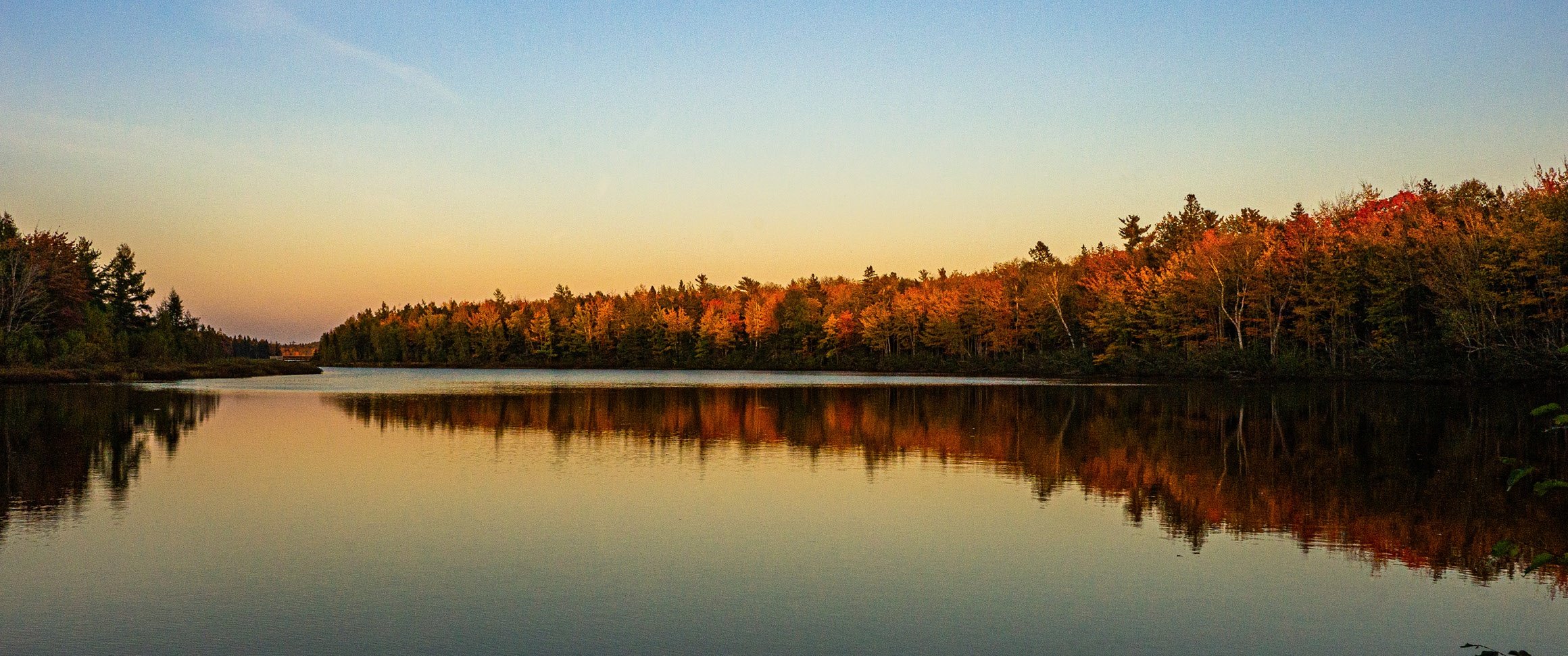 Irishtown Nature Park lake