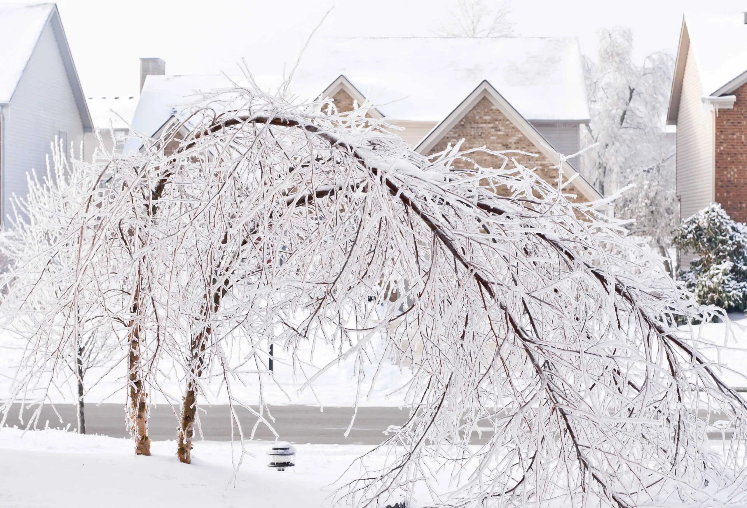 City of Moncton Emergency Measures Organization, Public Safety