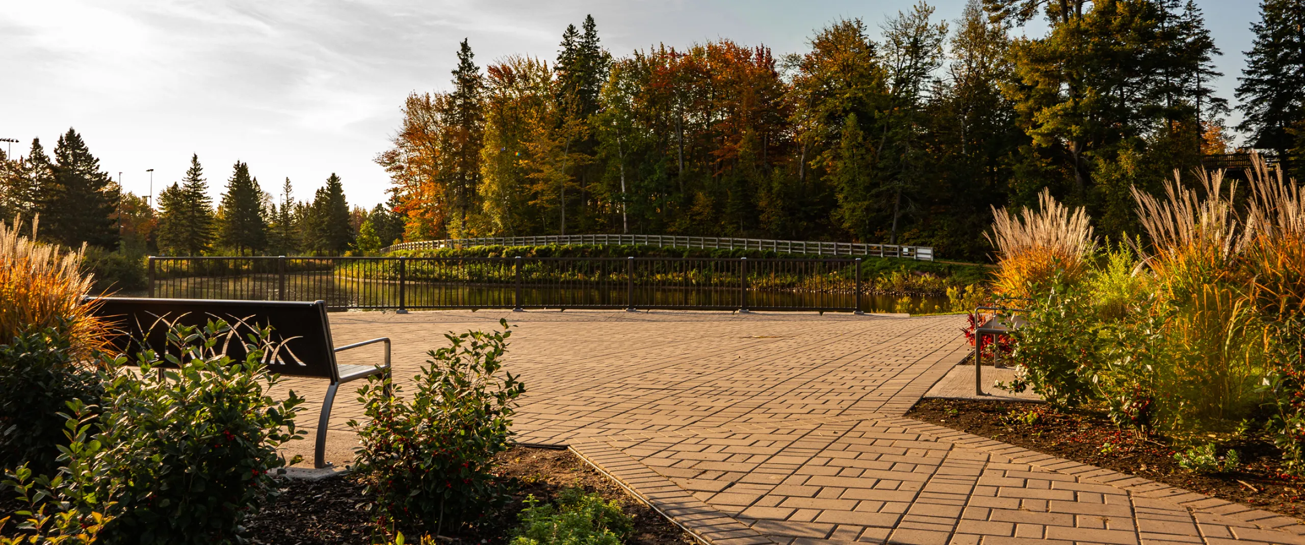 Centennial Park pond and walking trail